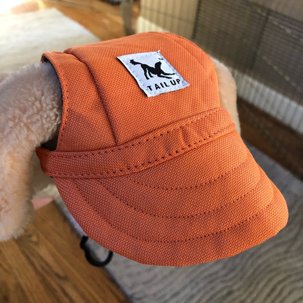 Dog Sun visor hat for small or toy sized dogs